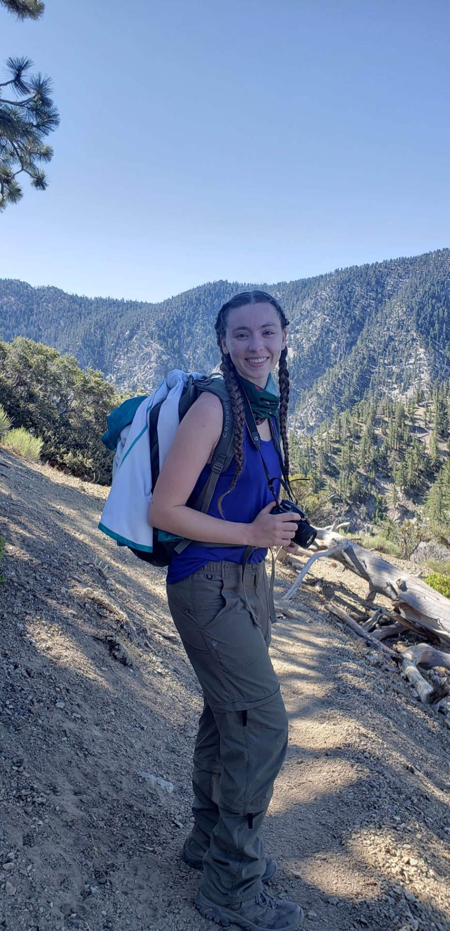 On my way to Telegraph Pk, Upland Wilderness